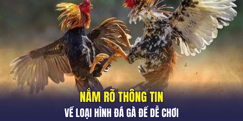 Nắm rõ thông tin về loại hình đá gà để dễ chơi